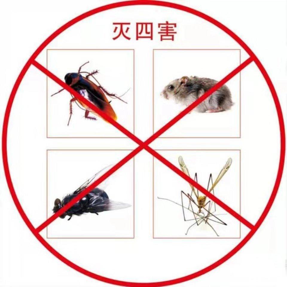 清潔保潔公司專業(yè)殺蟲單滅老鼠蟑螂防治白蟻除蟲項目清單收款單據(jù)